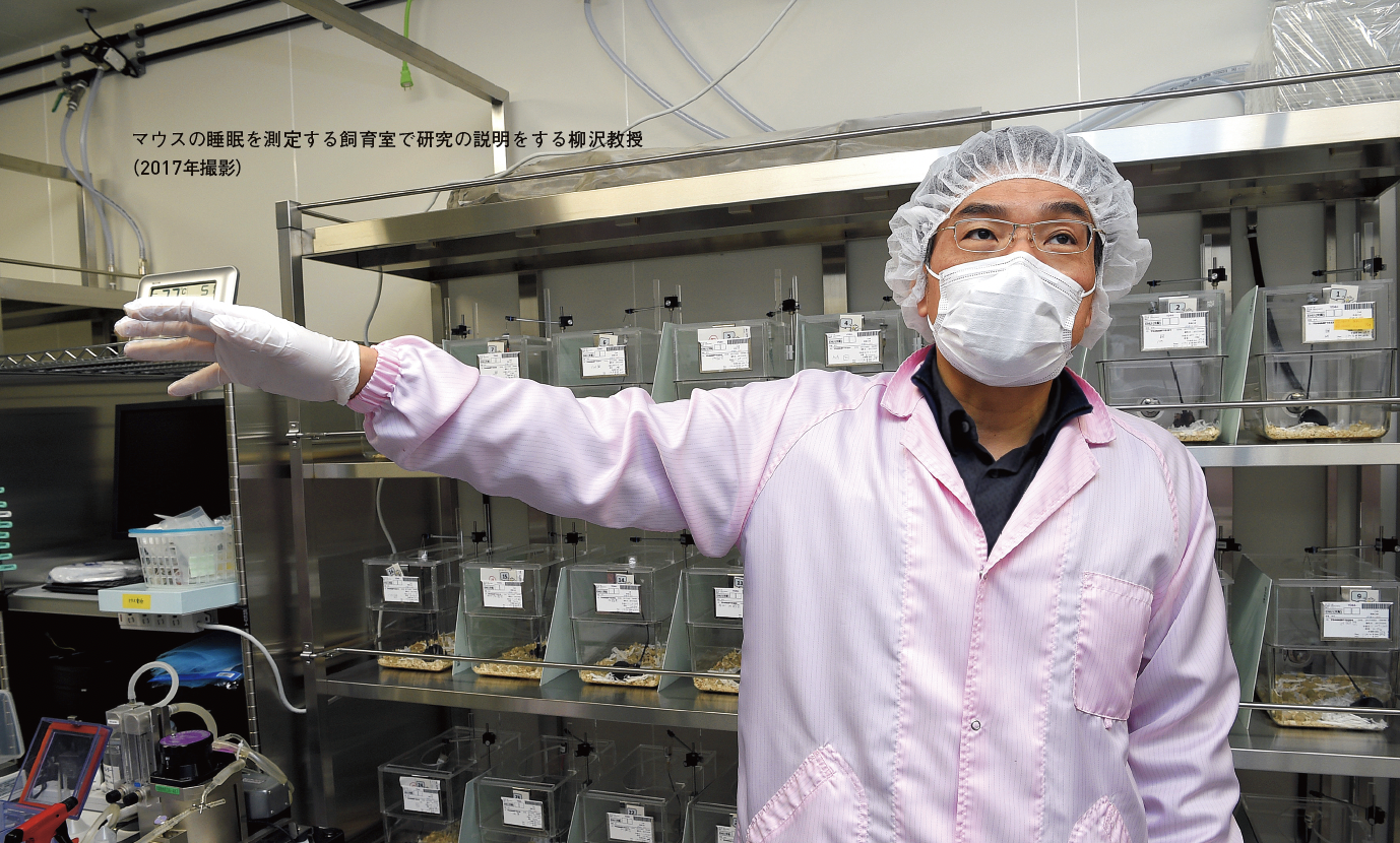 【柳沢教授インタビュー】：個人の特性に合わせた睡眠医療の実現へ（Newton 2025年5月号より）