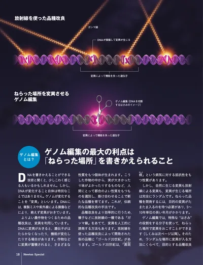 ページ 