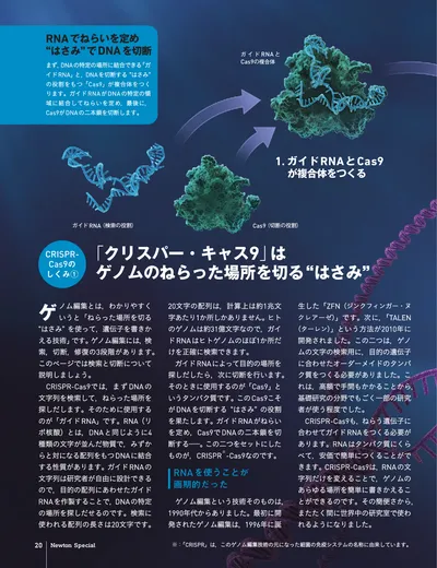 ページ 