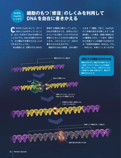 ページ 