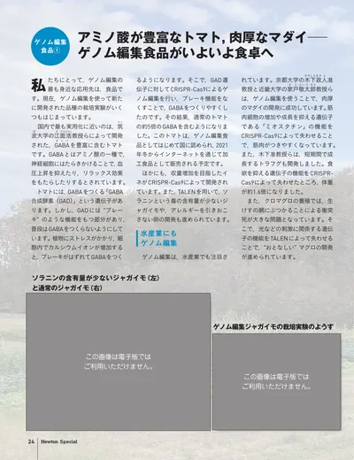 ページ 