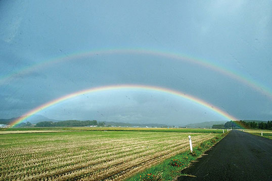 【屈折と反射】水滴が鏡のように太陽光を反射するため，虹はつねに太陽の反対側に見える