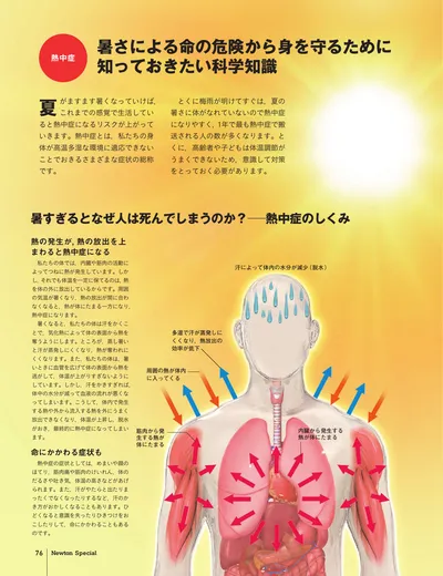 ページ 