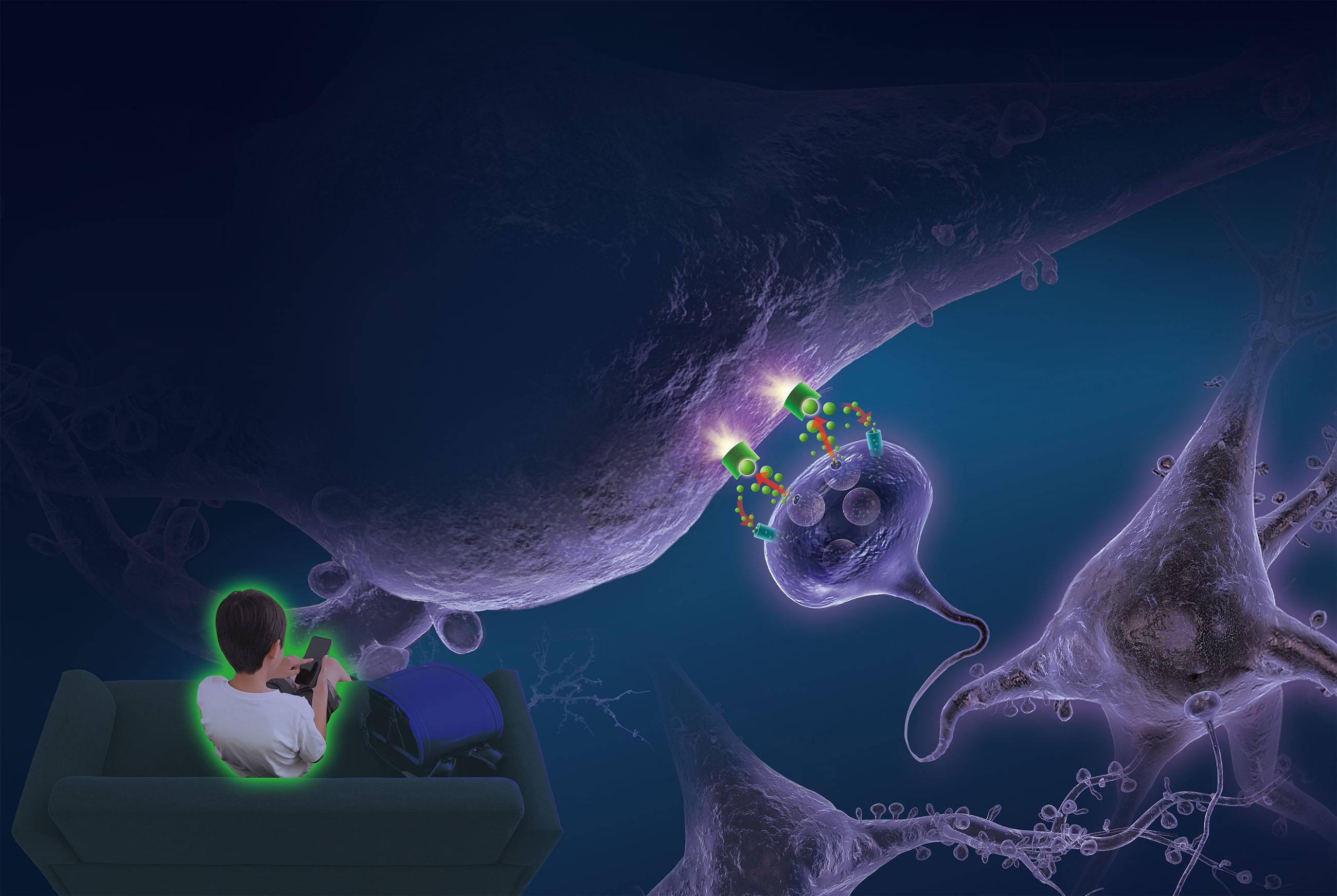 【スマホ依存】幸せを感じる脳内のしくみがスマホへの依存によって失われる