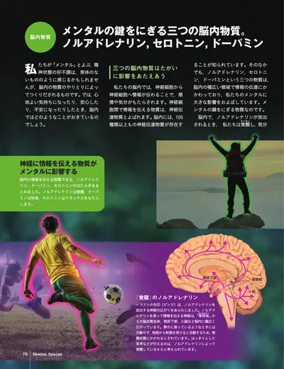 ページ 