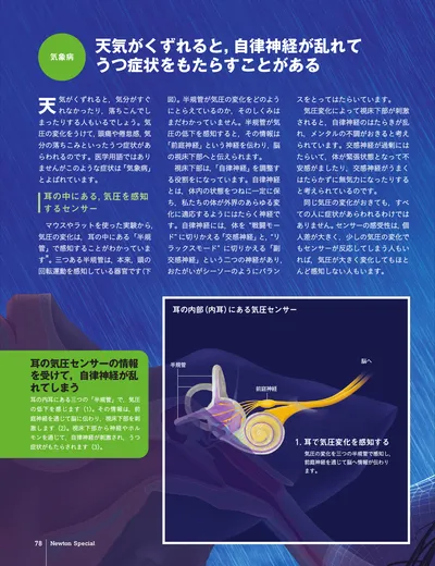 ページ 