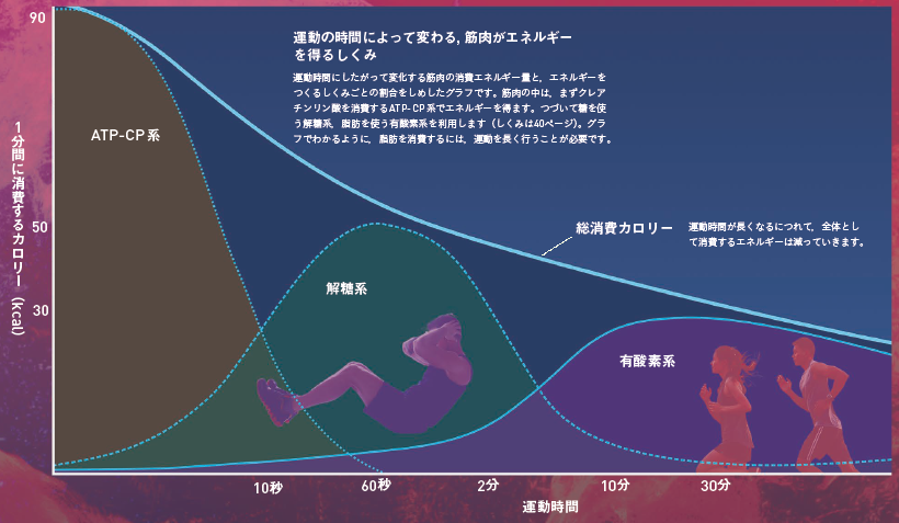 【運動】脂肪を消費するには有酸素運動。効率的にカロリーを消費するには高負荷の筋トレ