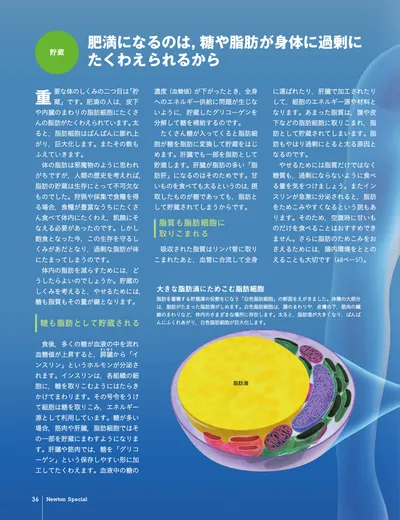 ページ 