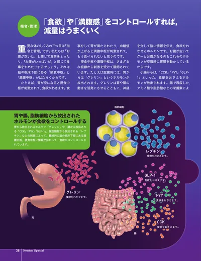ページ 