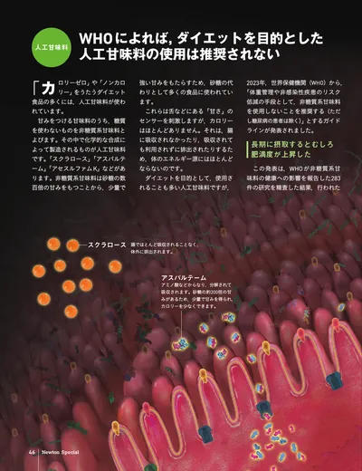 ページ 