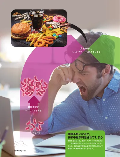 ページ 