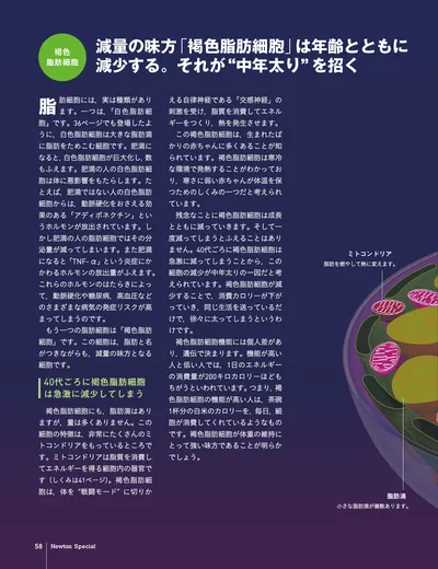 ページ 