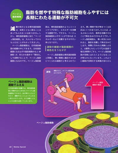 ページ 
