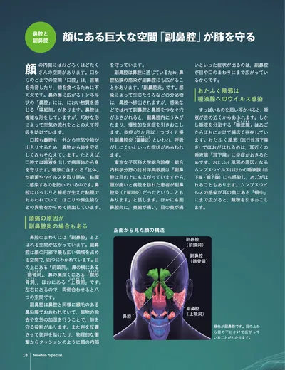 ページ 