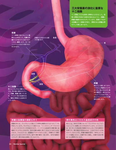 ページ 