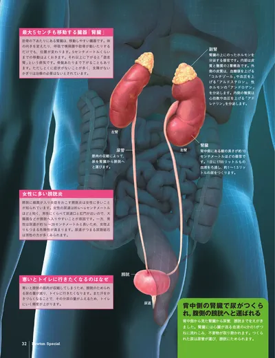ページ 