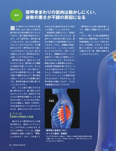 ページ 
