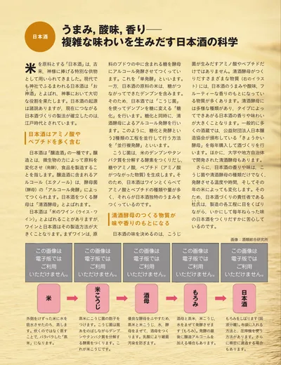 ページ 