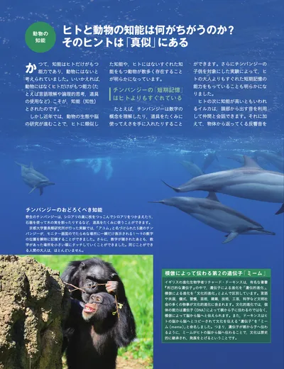 ページ 