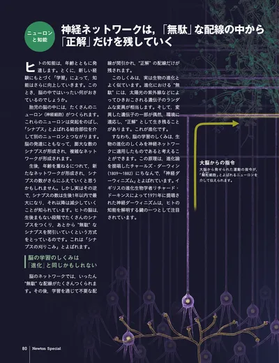 ページ 