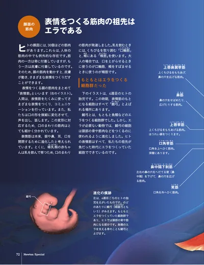 ページ 