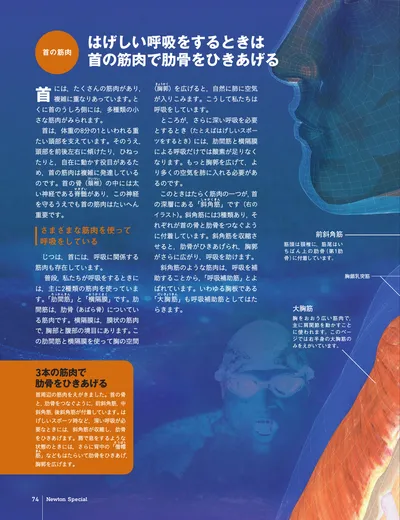 ページ 