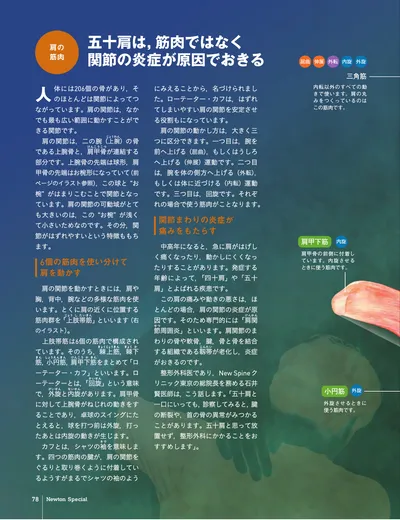 ページ 