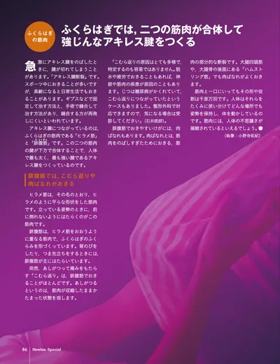 ページ 