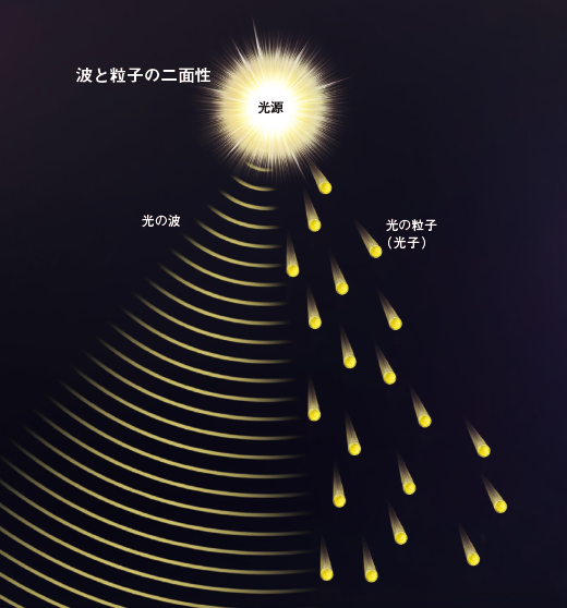 【量子の性質】「量子」は，波にも粒子にもなれる。しかも同時に複数の状態が共存する