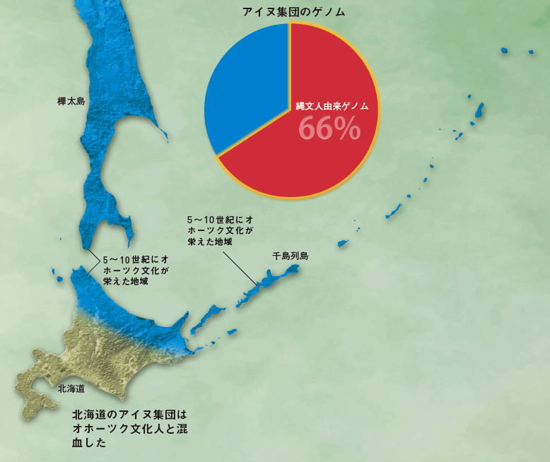 【アイヌ・沖縄】ゲノムからわかるアイヌや沖縄の人々がたどった道