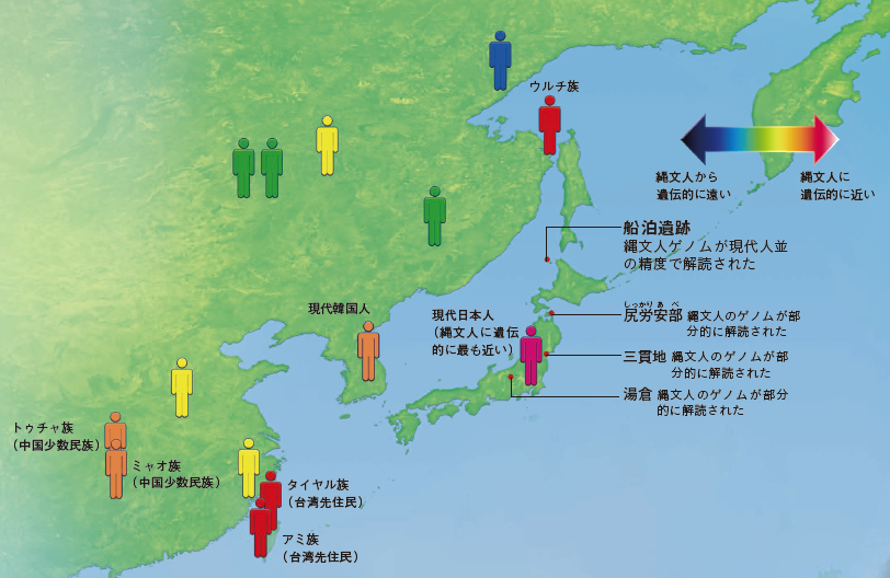 【縄文時代】ゲノム解析から浮かび上がってきた縄文人の起源