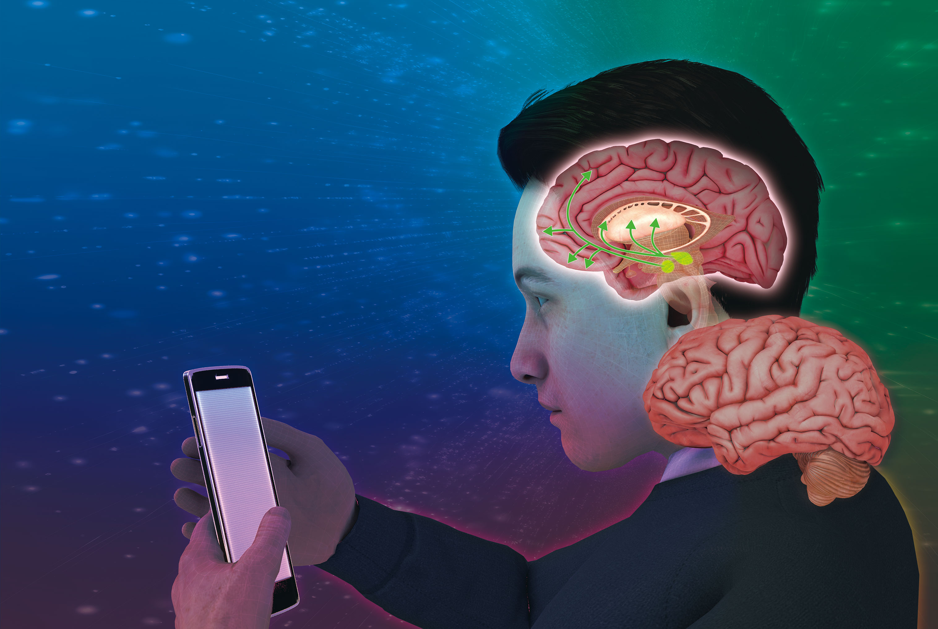 【報酬系 ADHD】報酬系ネットワークの機能低下により目先の報酬を優先してしまう