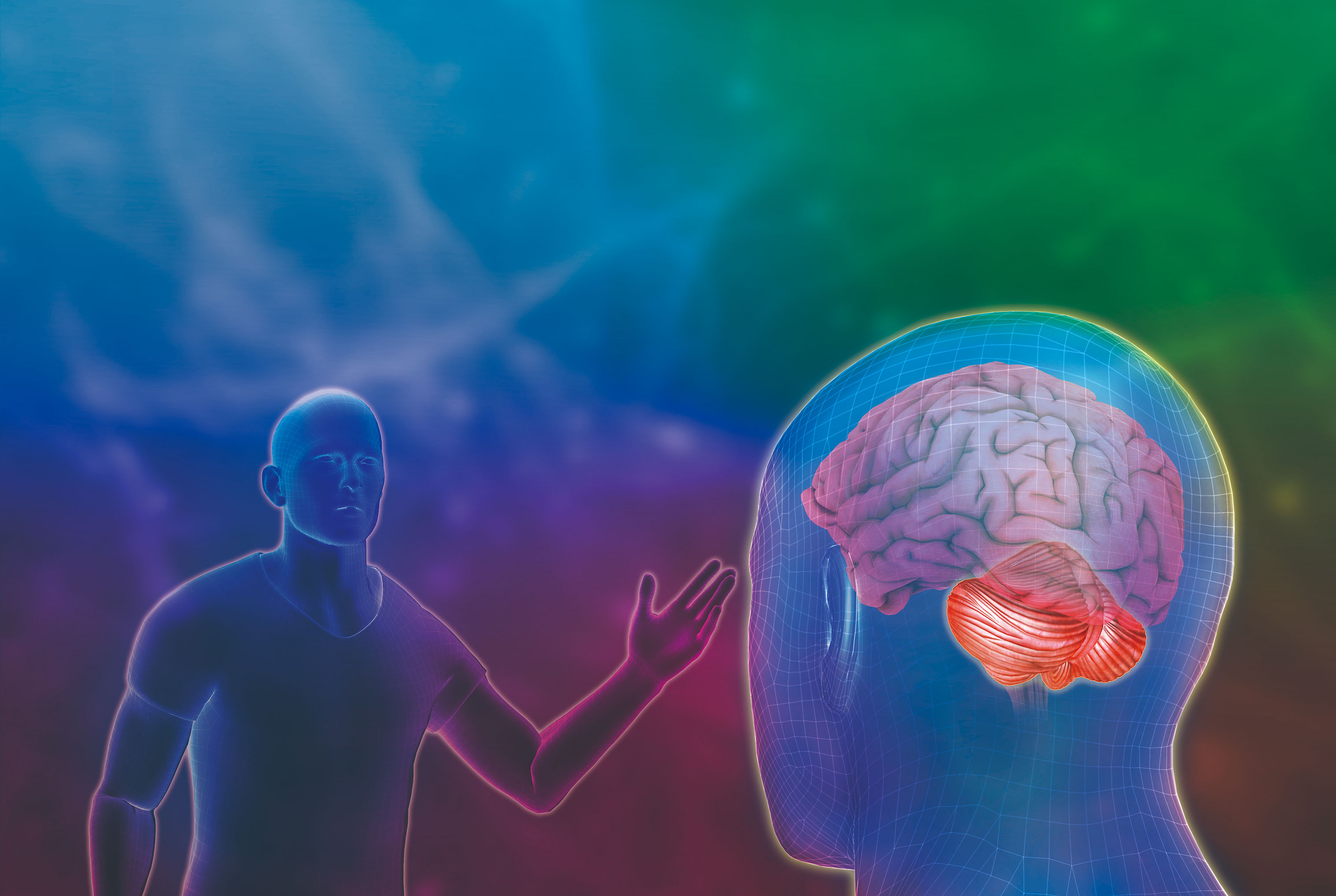 【小脳 ADHD】会話のタイミングをはかる際には小脳のはたらきが重要