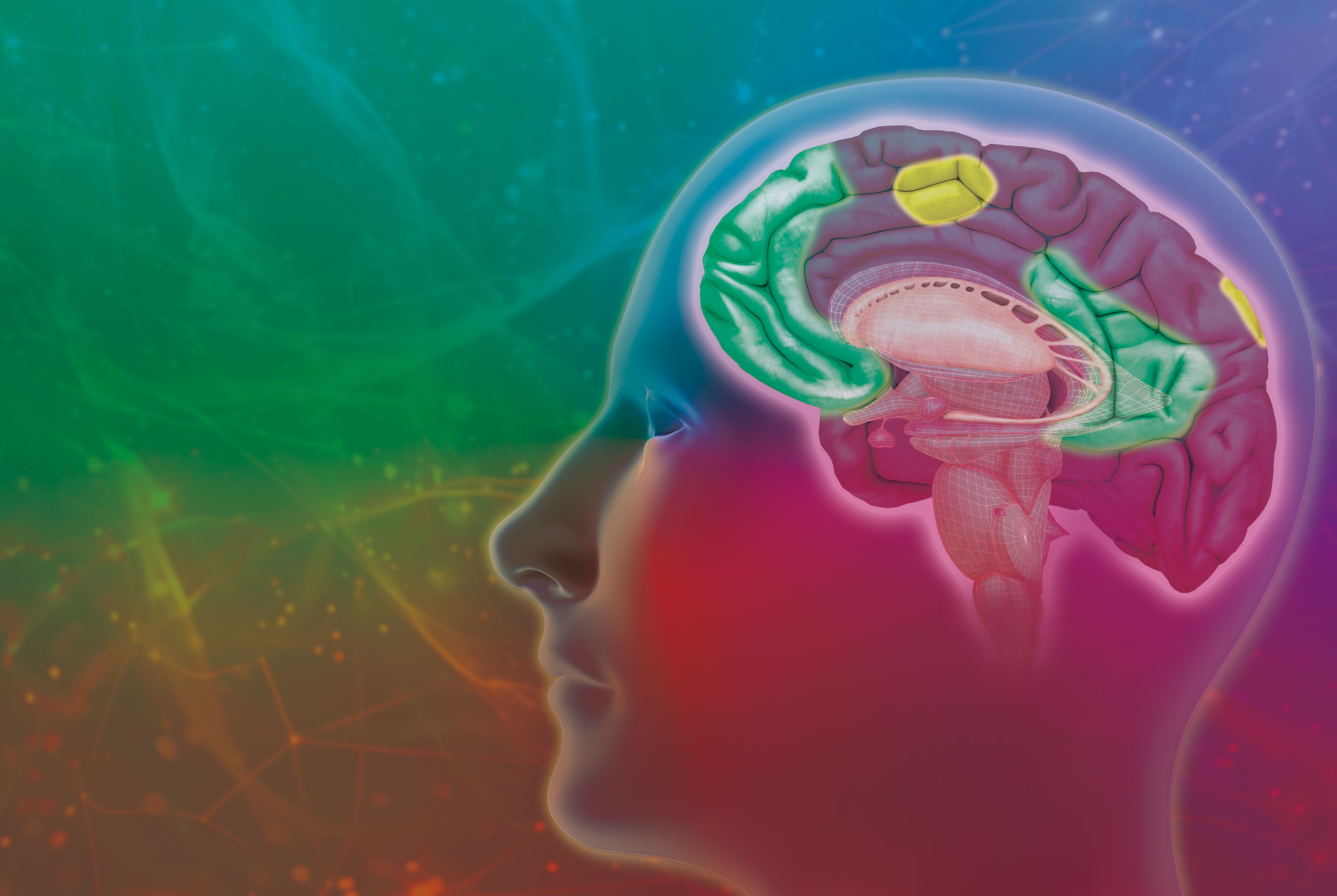 【DMN ADHD】脳がうまく休めずに，注意力が低下する─デフォルトモードネットワーク