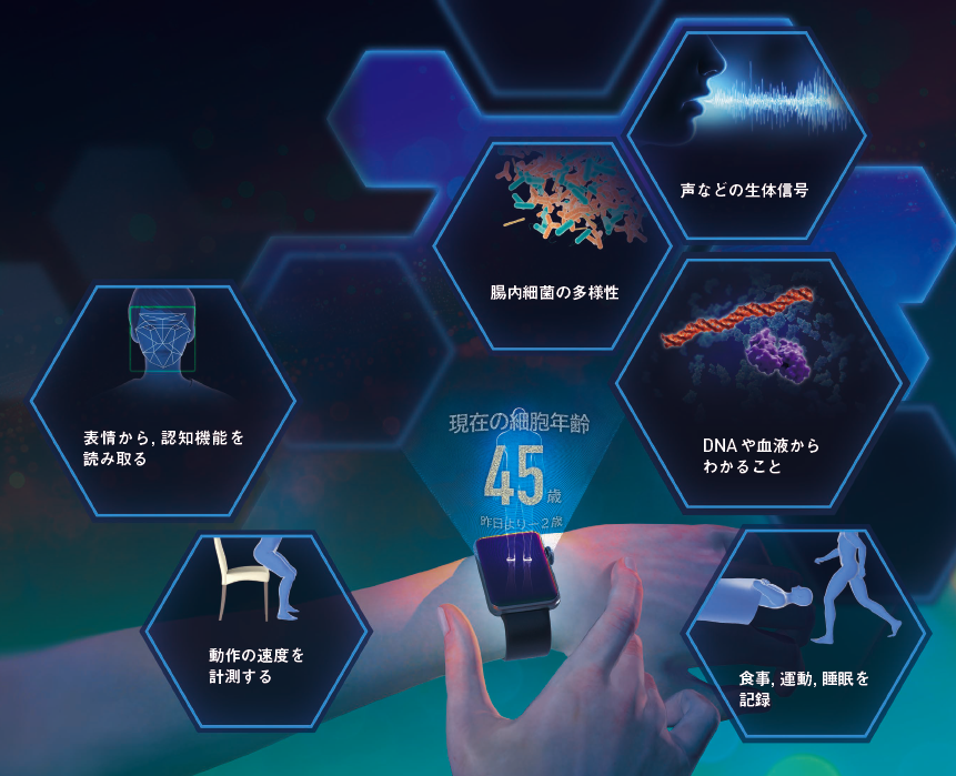 【生物学的年齢】あなたの細胞は，いま何歳？老化の程度が瞬時にわかるテクノロジー