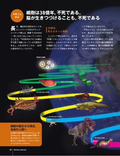 ページ 
