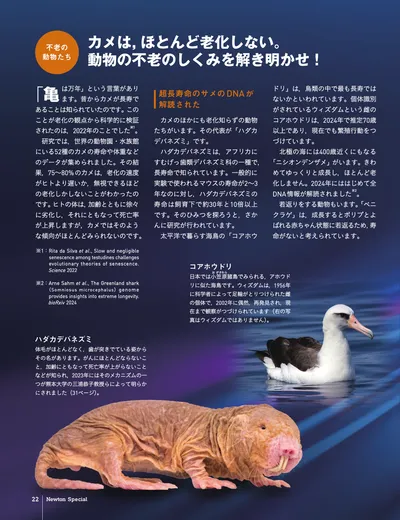 ページ 