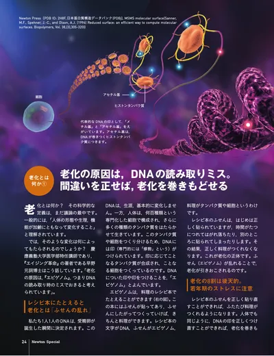 ページ 