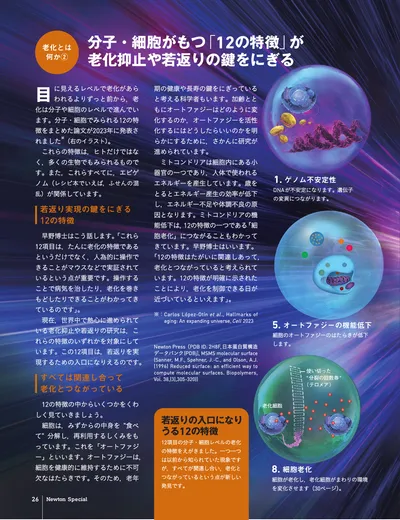 ページ 