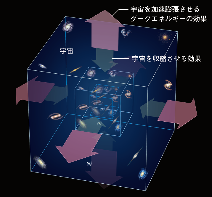 東京大学国際高等研究所Kavli IPMU・村山斉教授　量子重力理論には新しい数学が必要