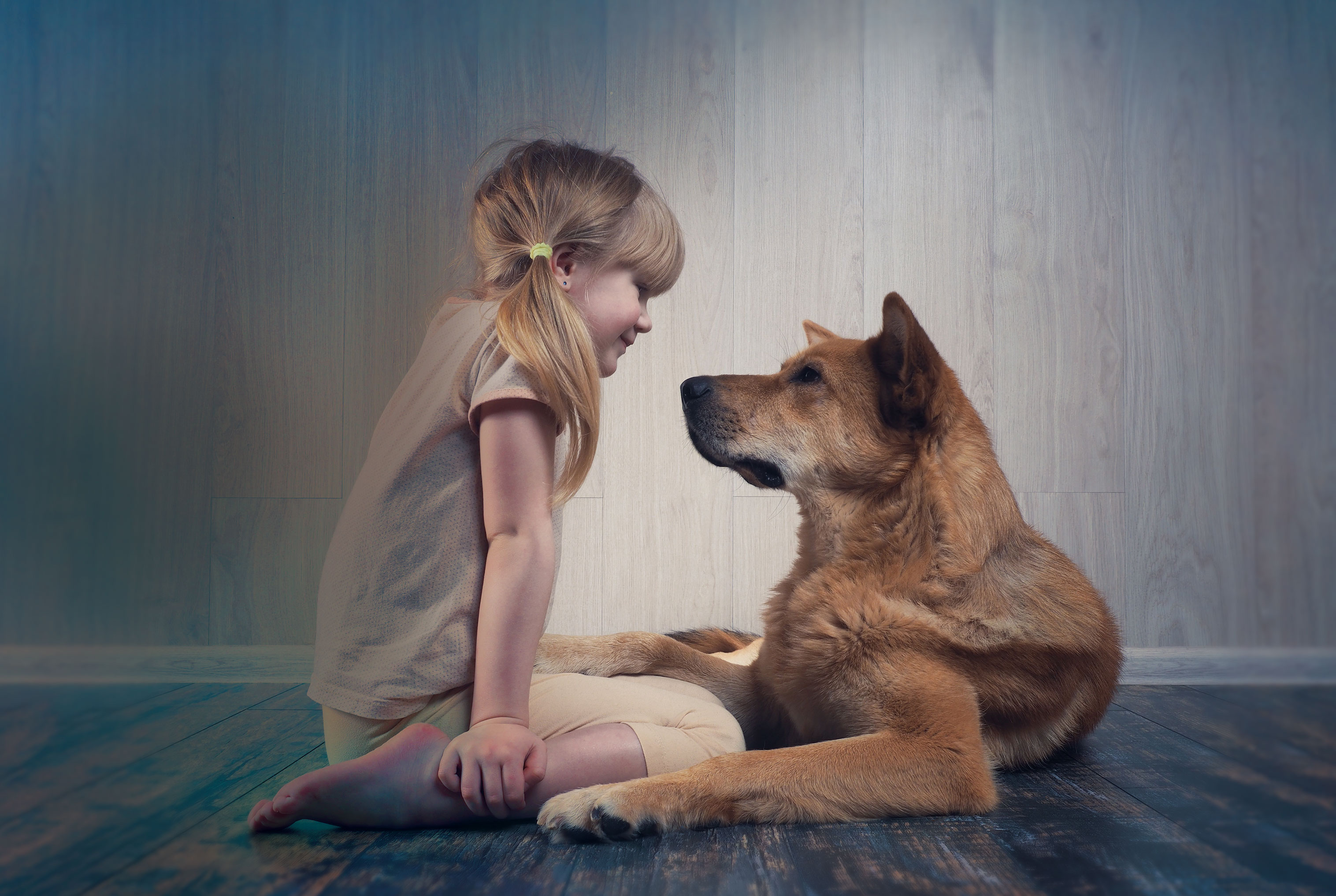 【動物と会話】AIで動物の言葉を理解して，動物とコミュニケーションをとる時代がやってくる
