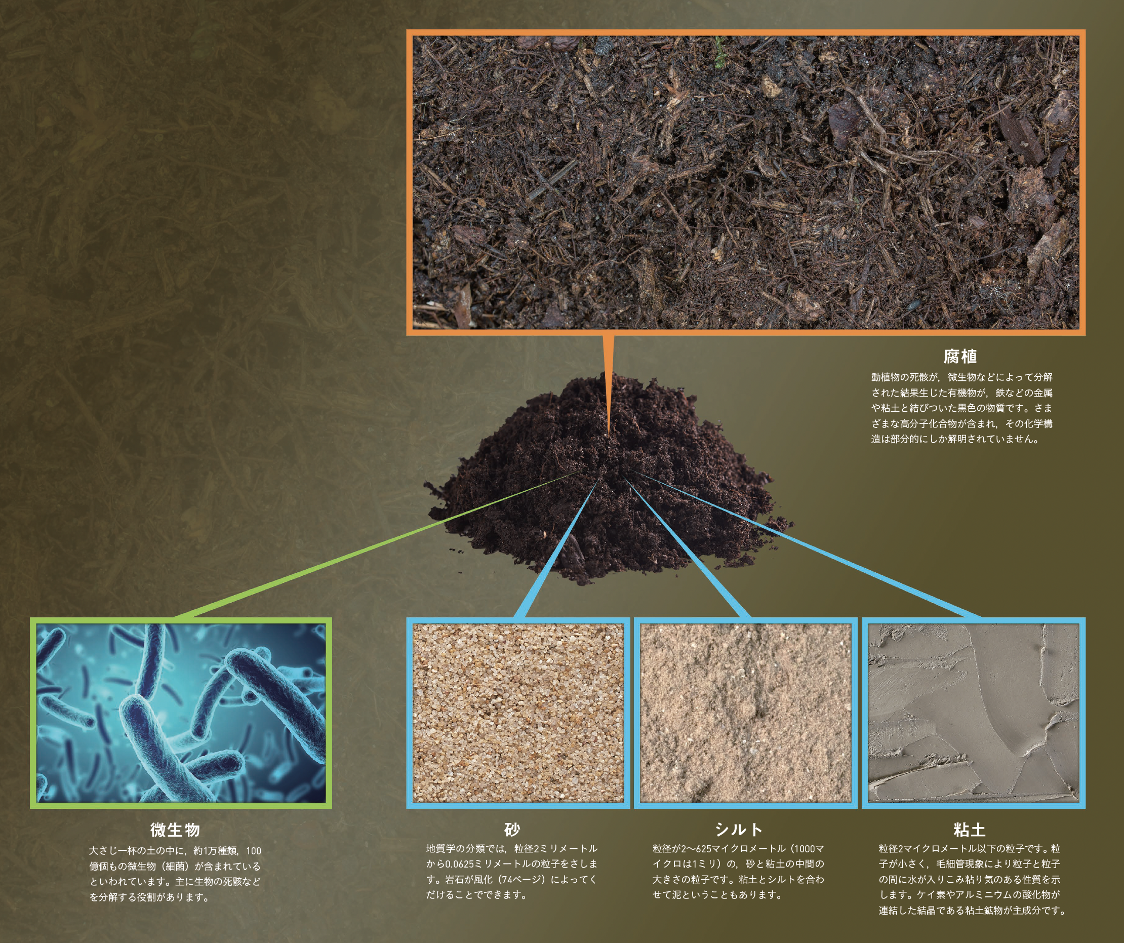 【土とは何か？】土＝砂＋粘土＋生物の死骸。つまり，土は生命の星・地球の「特産物」