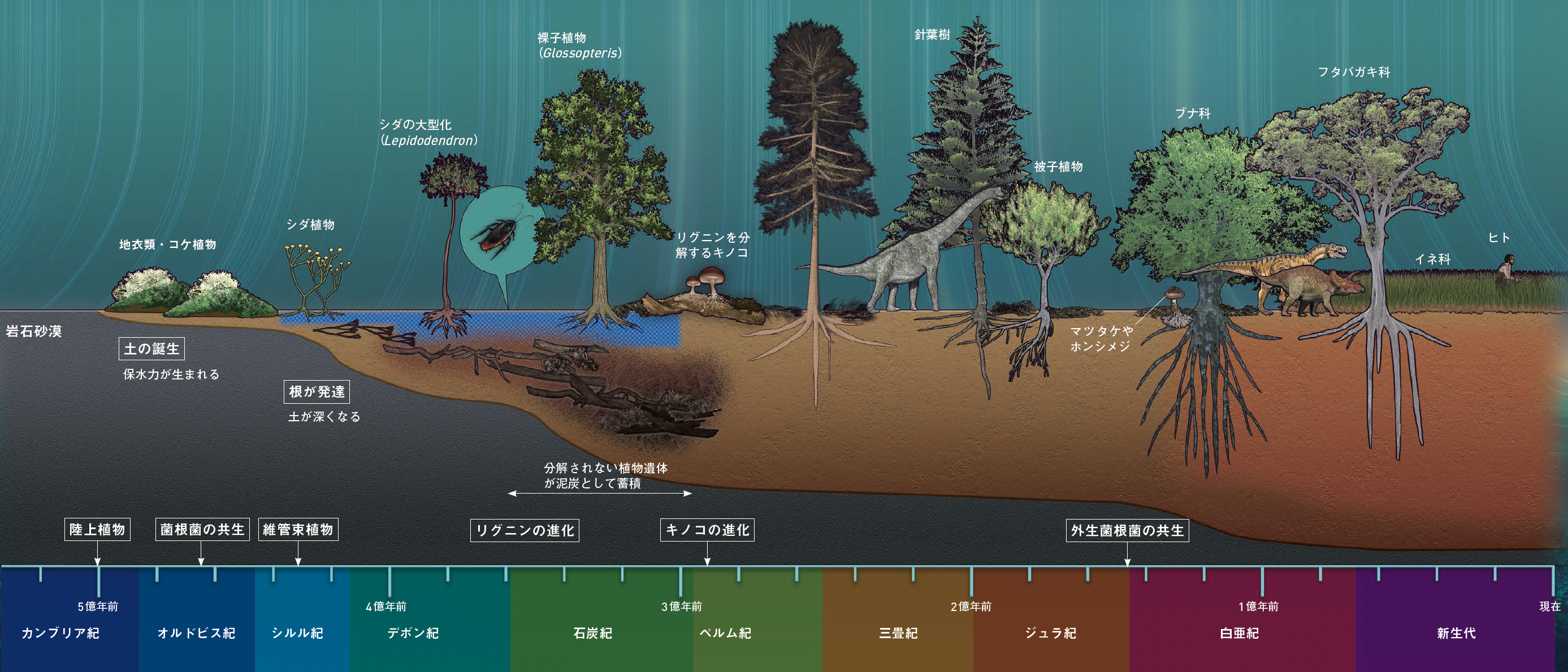 【土の歴史】土と生命は5億年かけてともに進化した
