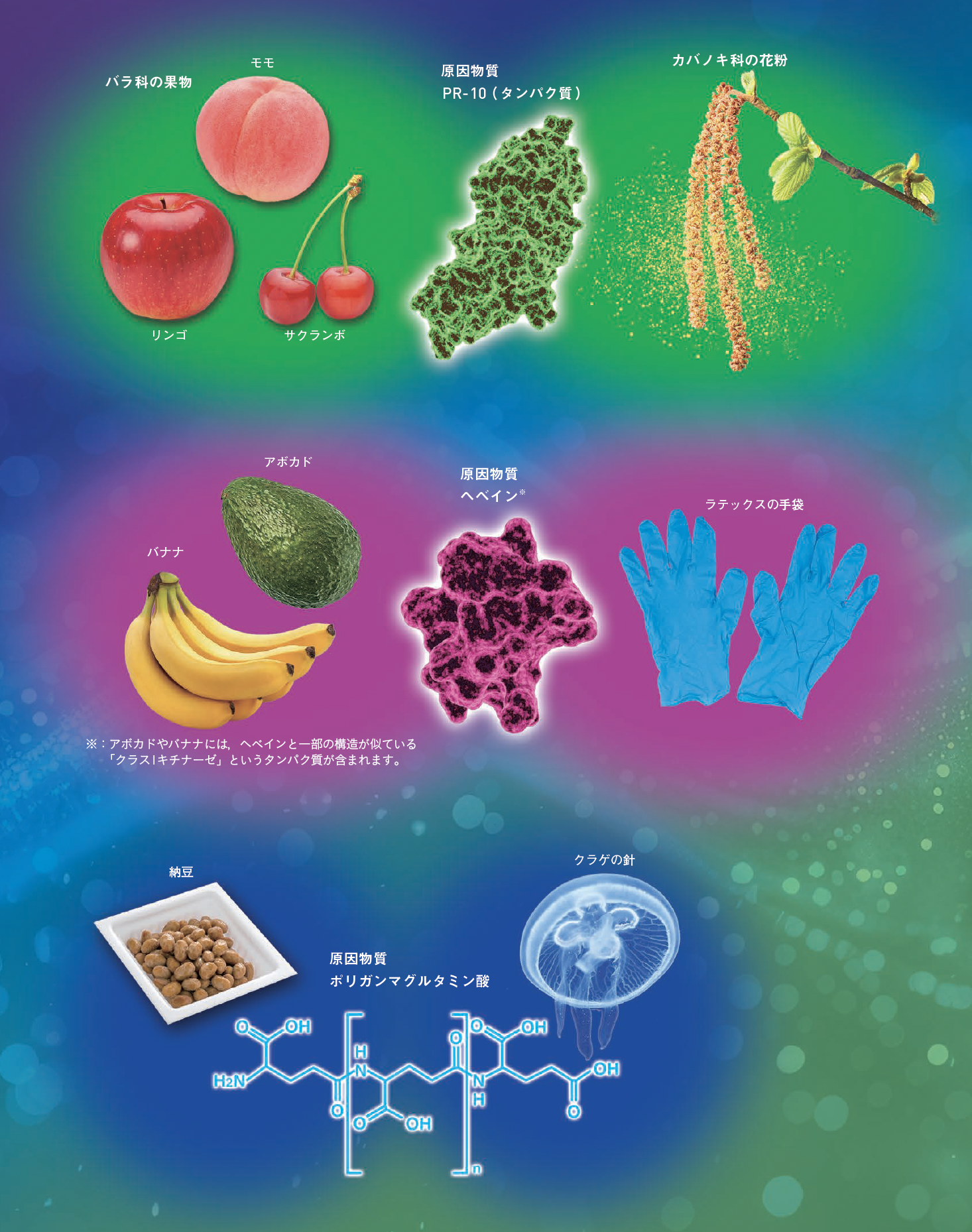 【交差反応】カバノキ科の花粉とバラ科の果物。二つの間にある意外な共通点とは？