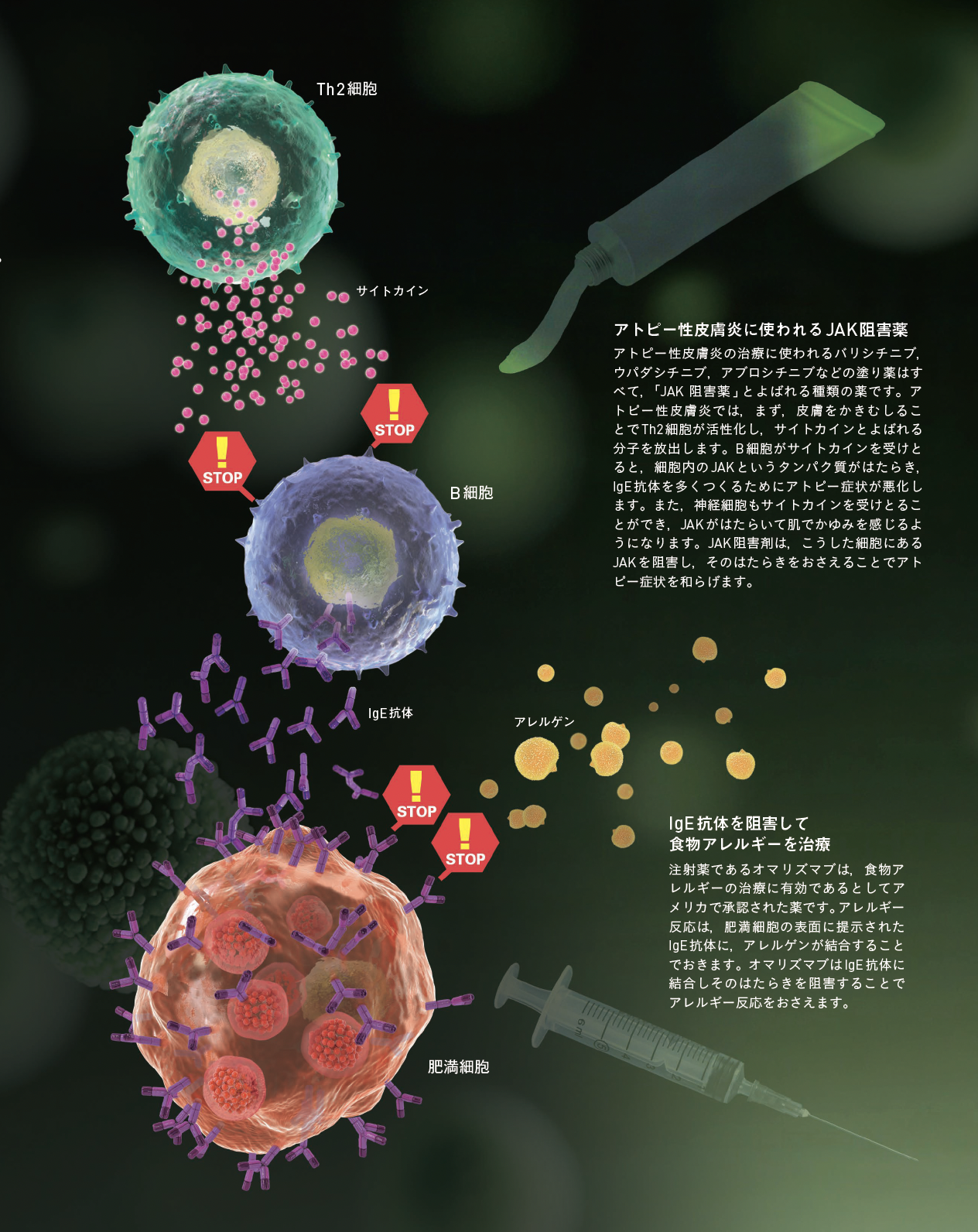 【アレルギー治療薬】新薬が続々登場し治療薬開発は“戦国時代”に