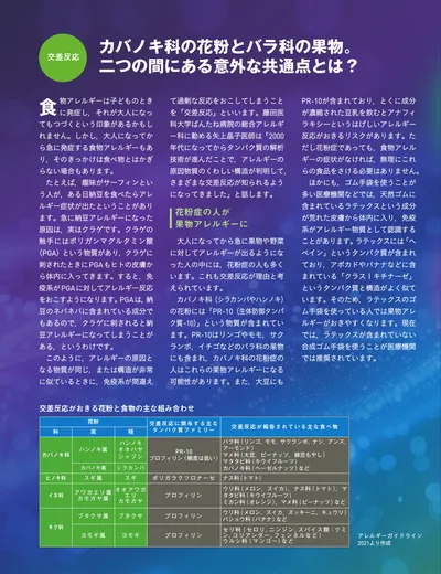 ページ 