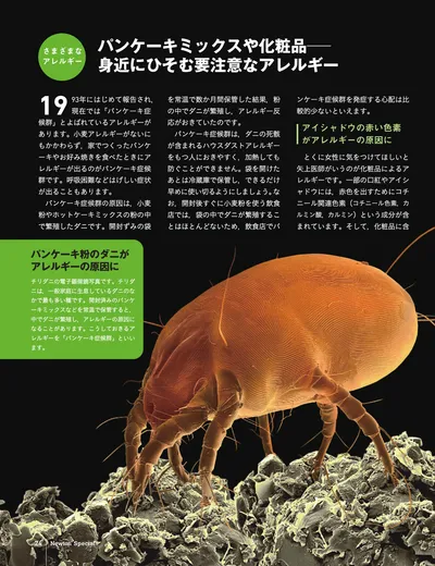 ページ 