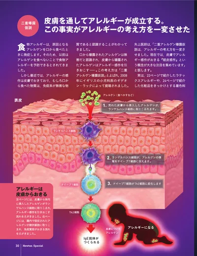 ページ 