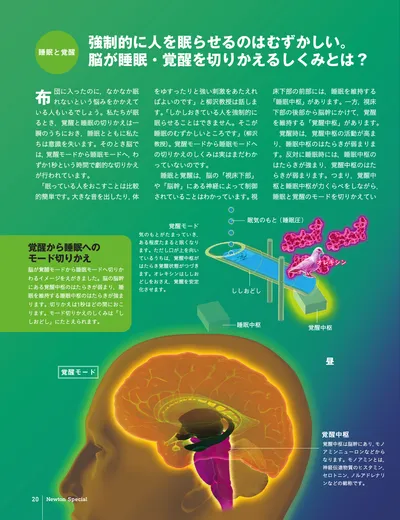 ページ 
