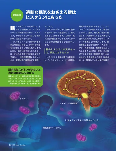 ページ 